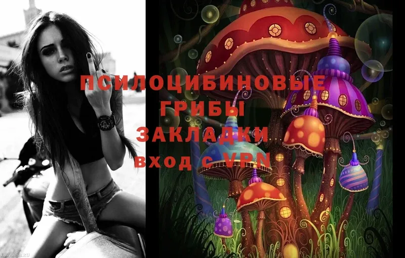 продажа наркотиков  Инсар  Галлюциногенные грибы MAGIC MUSHROOMS 